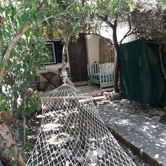 Casa Natasa Oziás Exterior foto